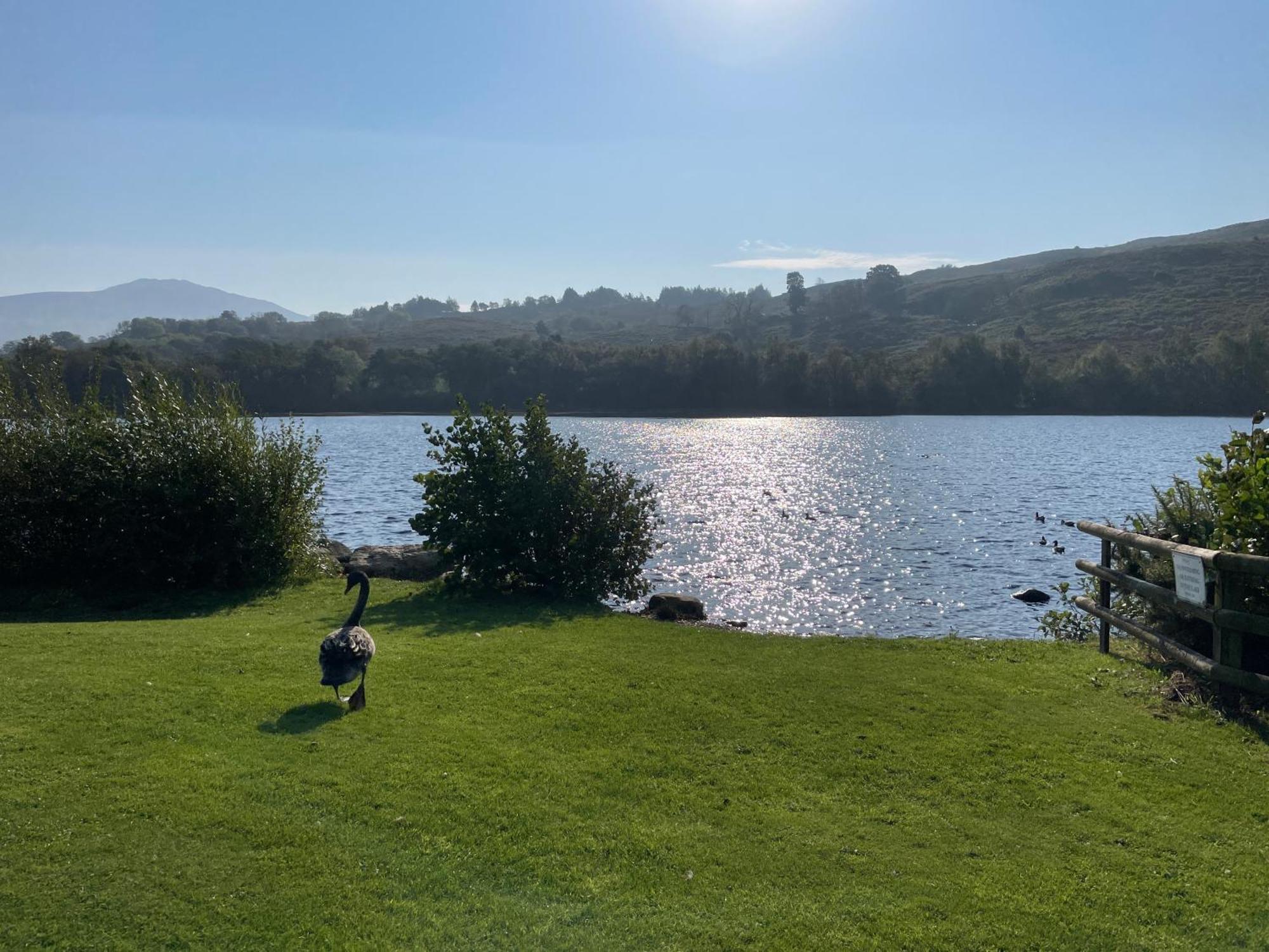 Cwm-y-gloNo 61 Brynteg Country & Leisure Retreat别墅 外观 照片